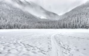 A neve como símbolo de pureza e renovação