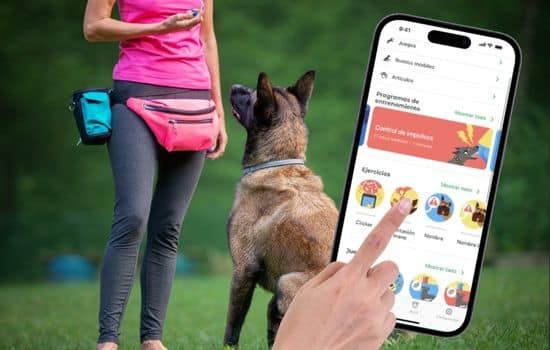 Entrena a tu perro con diversión y eficacia