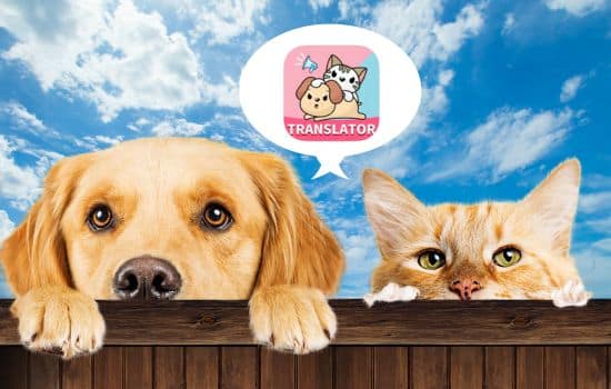 Descifra los Secretos de tu Amigo Peludo con Pet Translator