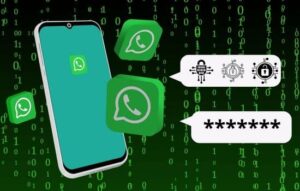 Misión Secreta: Descifrando Códigos en WhatsApp y Signal!