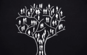 Aplicaciones Gratuitas de Ancestralidad