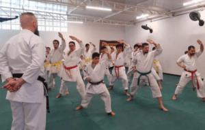 Aprende Karate Gratis con Estas Aplicaciones