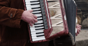 Domina el acordeón de forma divertida