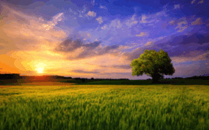 Buenos días con energía: Apps top