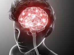 Beneficios de los Testes de IQ para el Cerebro