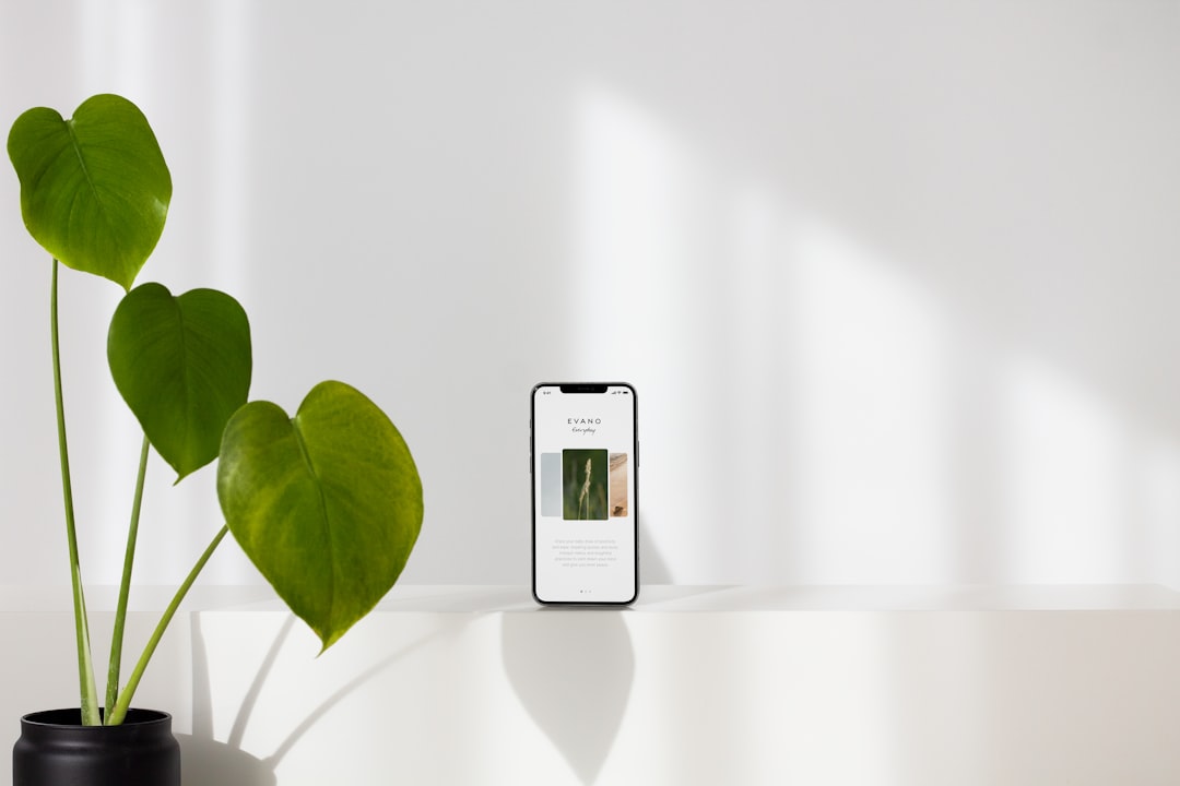 Identifica plantas, flores y árboles con una foto del móvil