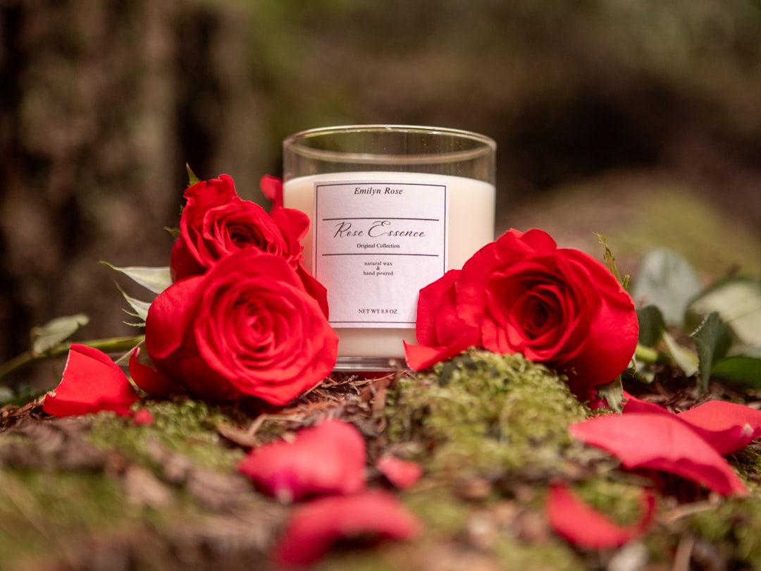 Abre tu carta de amor y descubre palabras románticas